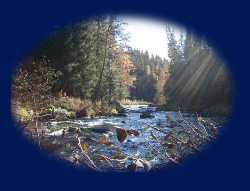 Forsen. Foto:Margareta Bergman